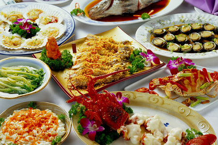 2004年澳门天天开好菜大全,澳门美食之旅，回顾2004年天天开好菜大全
