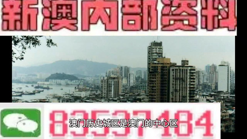 新澳门资料全年免费精准,新澳门资料全年免费精准，探索真实信息的世界