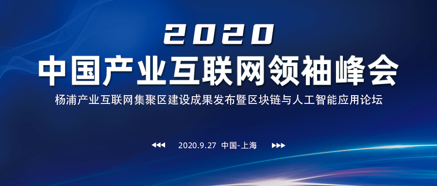 2025新澳精准资料免费提供网站,探索未来之路，关于新澳精准资料免费提供的网站与2025展望