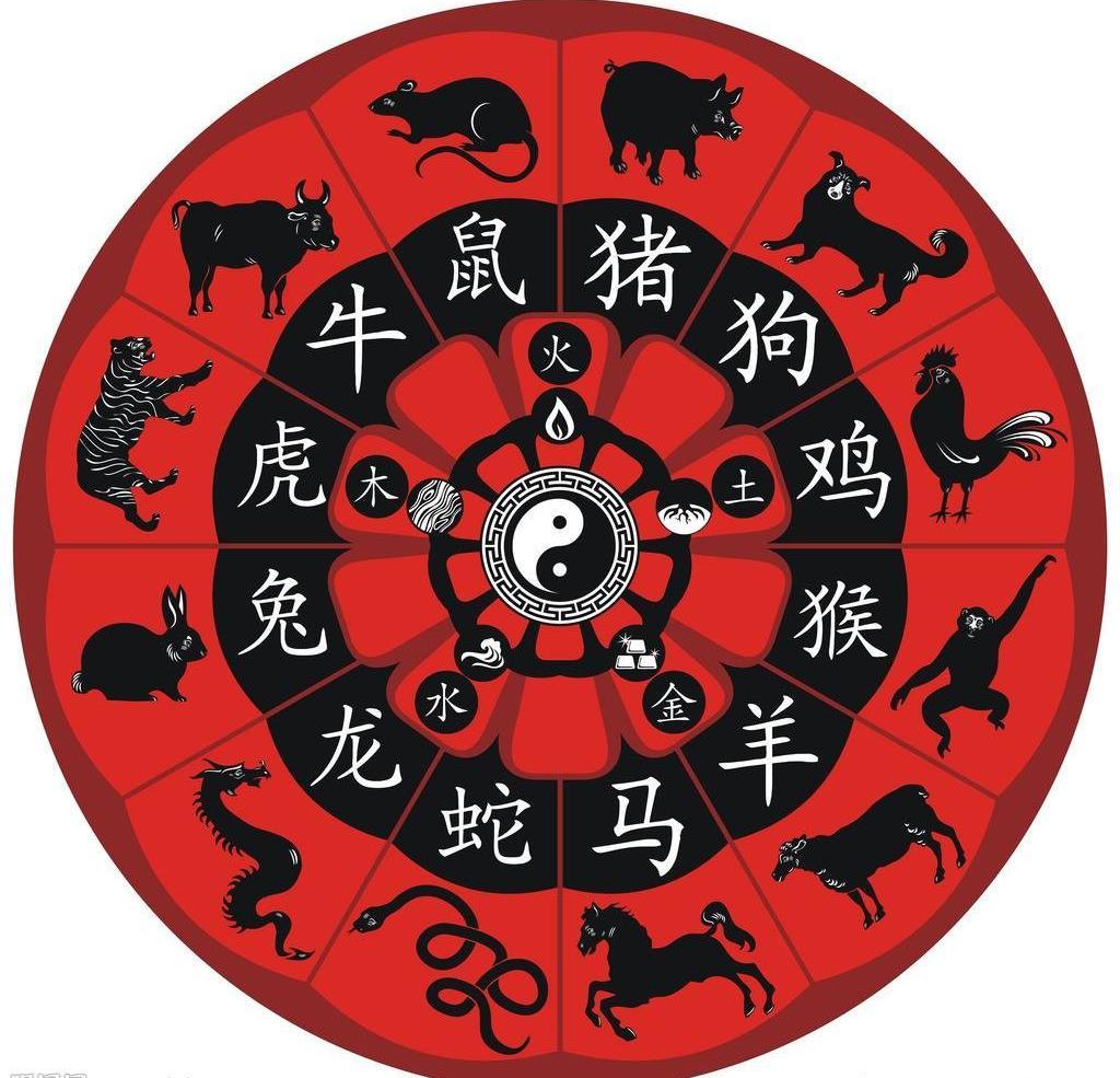 今晚买什么生肖最准确,今晚买什么生肖最准确——揭秘生肖运势与预测之谜