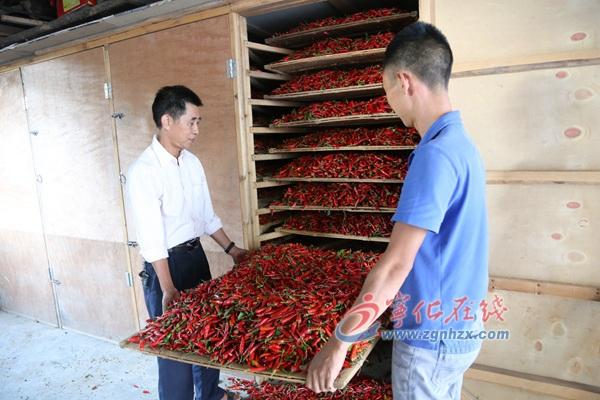 王中王免费资料大全料大全一一l,王中王免费资料大全，探索与启示
