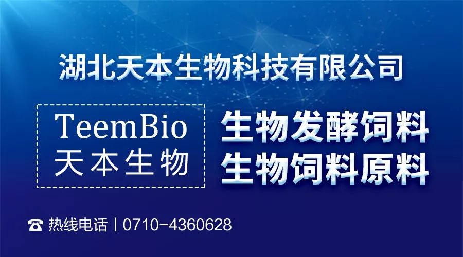 2025新澳免费资料三头67期,探索2025新澳免费资料三头67期，揭示数据与趋势的奥秘