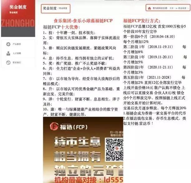白小姐三肖三期必出一期,白小姐三肖三期必出一期，揭秘背后的秘密与策略