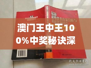 2025新澳门王中王正版|全面释义解释落实