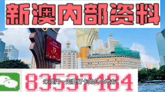 2025年新澳门王中王免费|全面释义解释落实