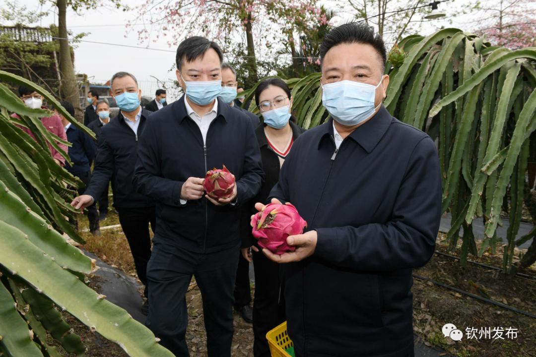 新澳天天资料免费资料大全最新|全面贯彻解释落实