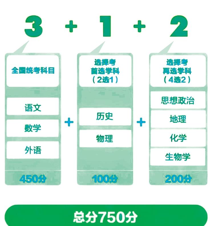 新澳2025-2024年资料免费大全版|全面释义解释落实