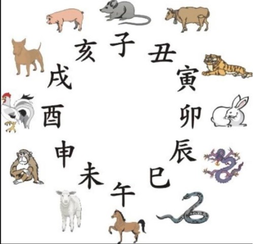 十二生肖与2025年之49个码|精选解释解析落实