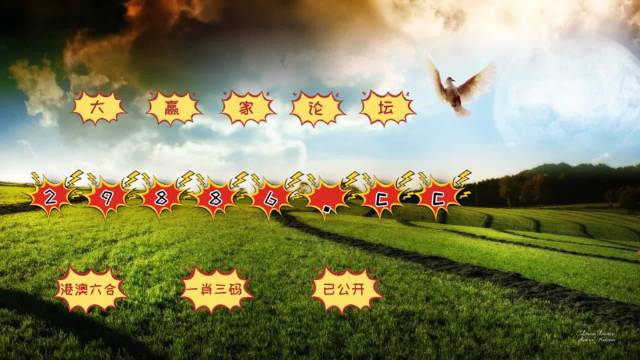 4949澳门特马今晚开奖53期,澳门特马第53期开奖分析——探索未来的幸运之门