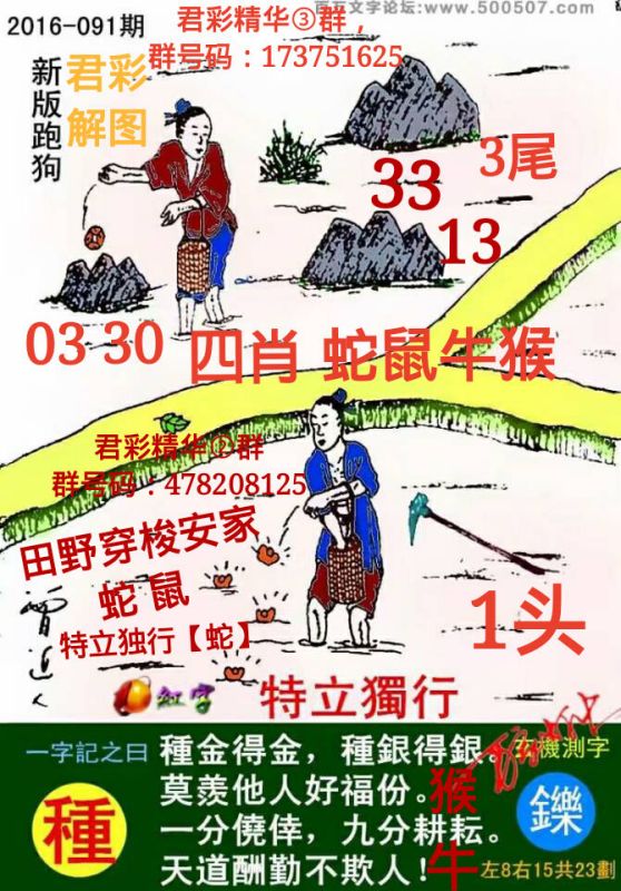 2025年新跑狗图最新版跑狗图,探索最新跑狗图，2025年的跑狗图新趋势与未来展望