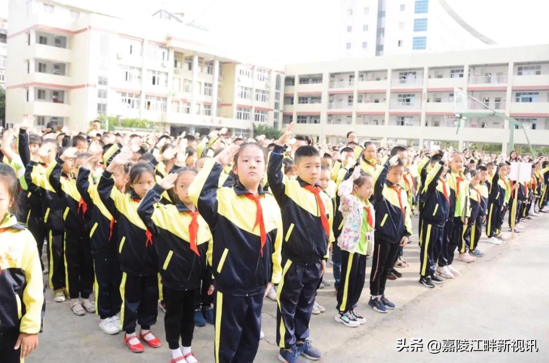 白小资料全年资料免费,白小资料全年资料免费共享，助力学习成长的无价资源