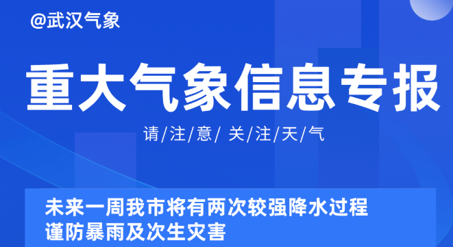 2025新奥正版资料免费提供,揭秘未来，探索新奥正版资料的共享之旅——免费提供的宝藏资源到2025年