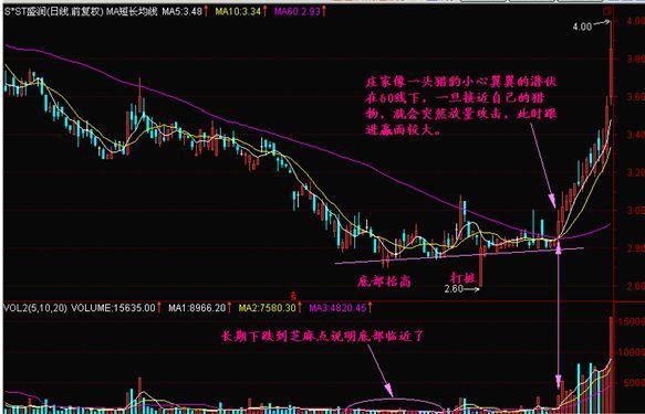 香港精准特马免费资料,香港精准特马免费资料，探索与反思