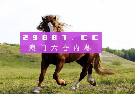 澳门六开奖结果,澳门六开奖结果及其背后的故事