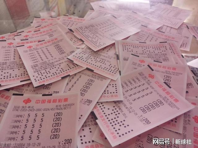 2025年一肖一码一中,探索未来彩票奥秘，2025年一肖一码一中