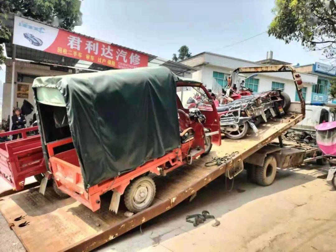 2025今晚开的四不像生肖图,关于今晚四不像生肖图的解读与预测