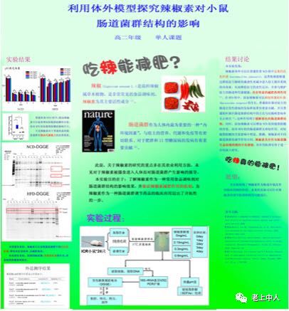 澳门管家婆r肖,澳门管家婆与神秘的肖先生，一个独特的视角探索
