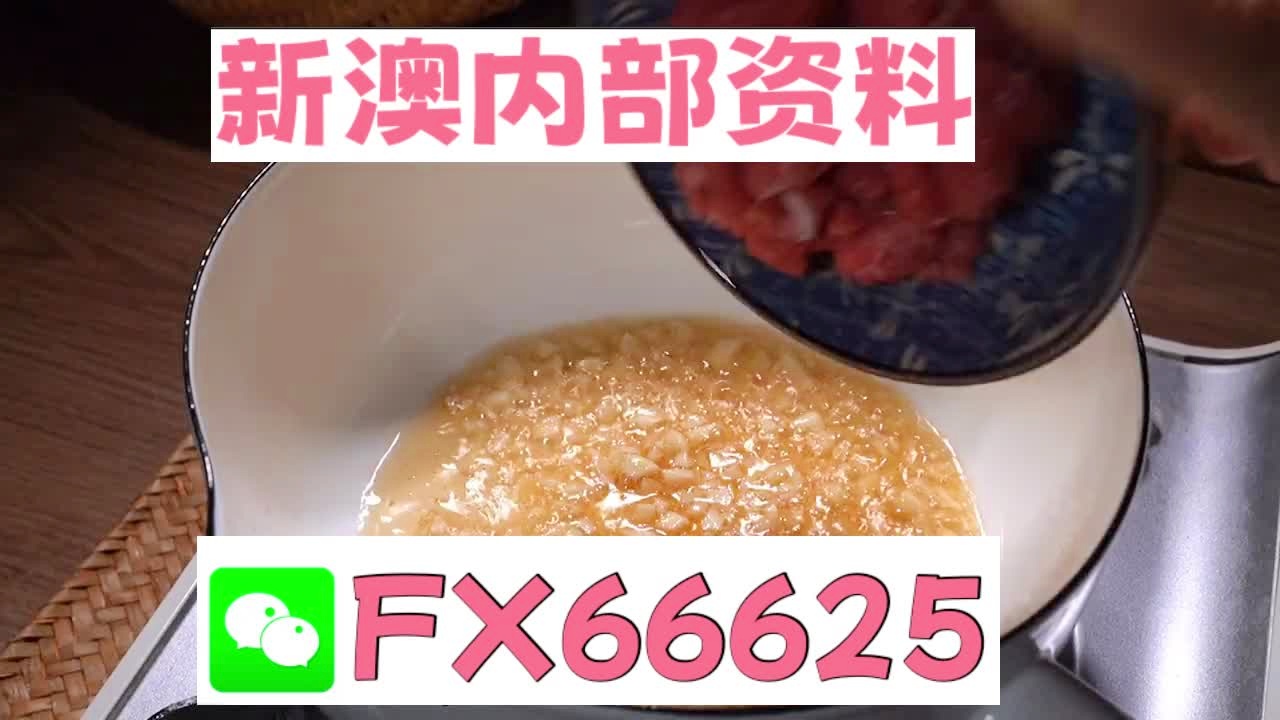 澳门中特网的网站,澳门中特网的网站，探索与理解