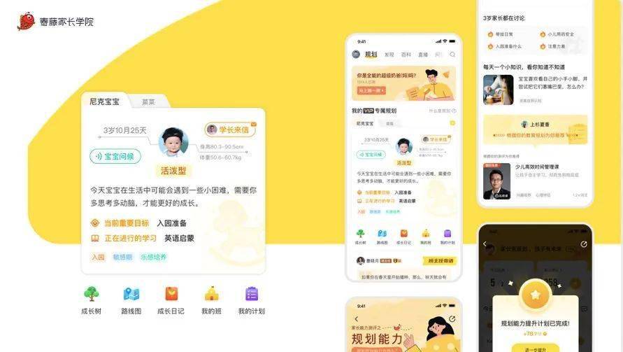 新奥管家婆免费资料2O24,新奥管家婆免费资料，掌握未来商业管理的关键在2024