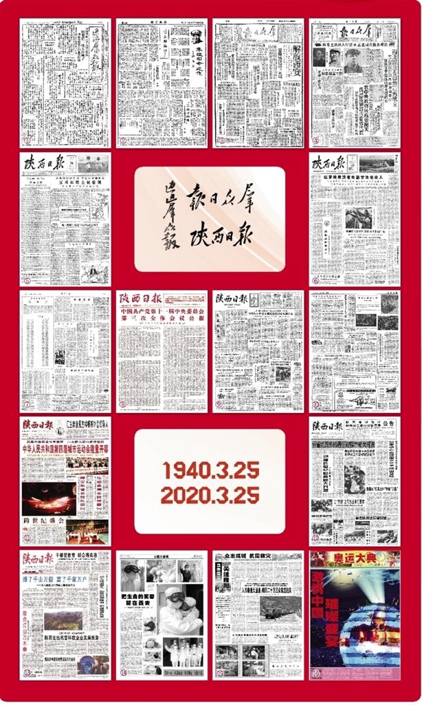 四肖八码期期准全年四肖,四肖八码期期准全年四肖，一种独特的预测与选择策略