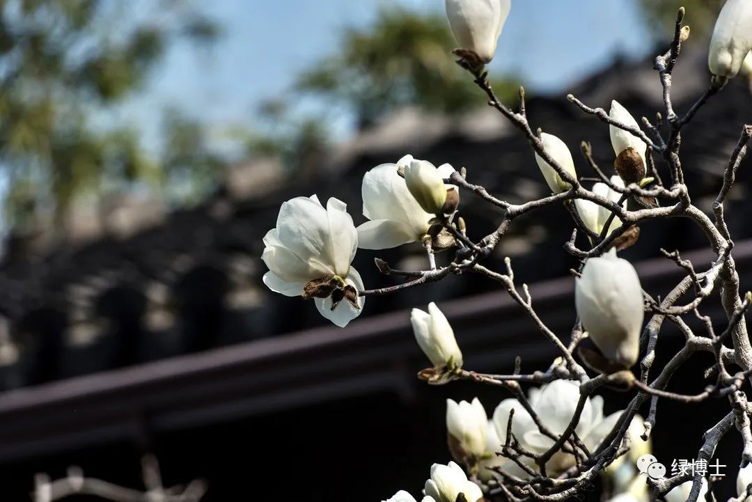 第652页