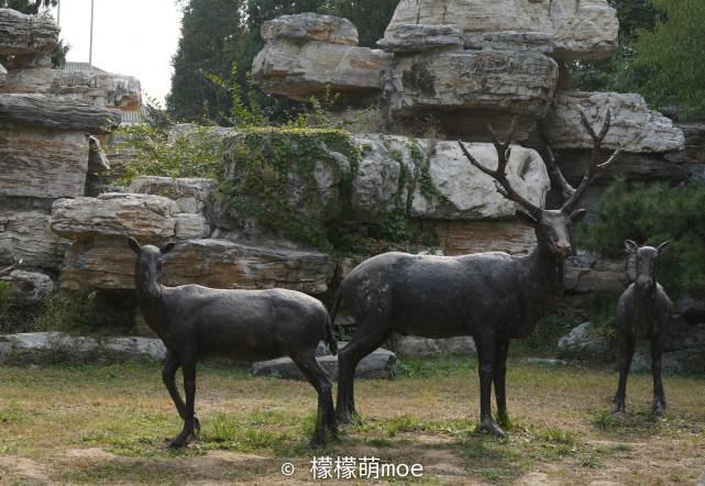 四不像正版资料免费大全,四不像正版资料免费大全