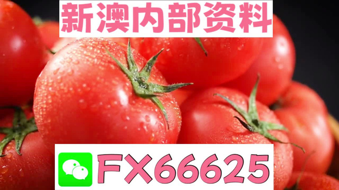 新澳好彩免费资料查询水果奶奶,新澳好彩免费资料查询与水果奶奶的故事