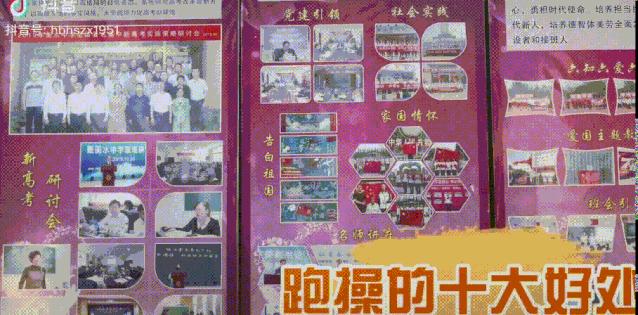 二四六天天彩资料大全网最新,二四六天天彩资料大全网最新动态，探索与解读