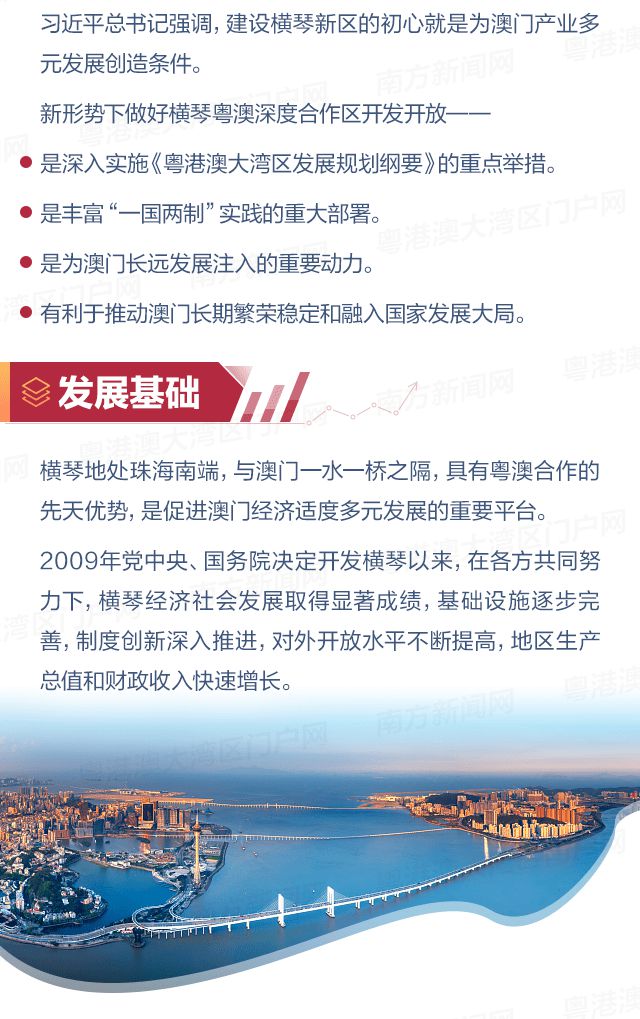 新澳门资料大全正版资料2025年,新澳门资料大全正版资料2025年，深度探索与预测