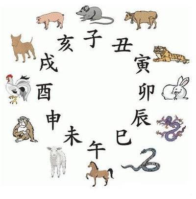 2025澳门精准正版生肖图,澳门正版生肖图，探索2025年生肖运势与预测