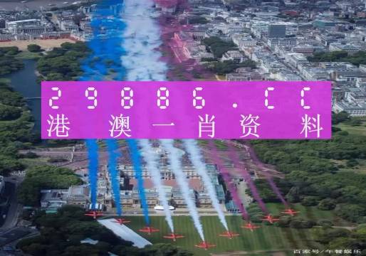 澳门一肖一码一一中厂,澳门一肖一码一中厂，探索背后的秘密与魅力