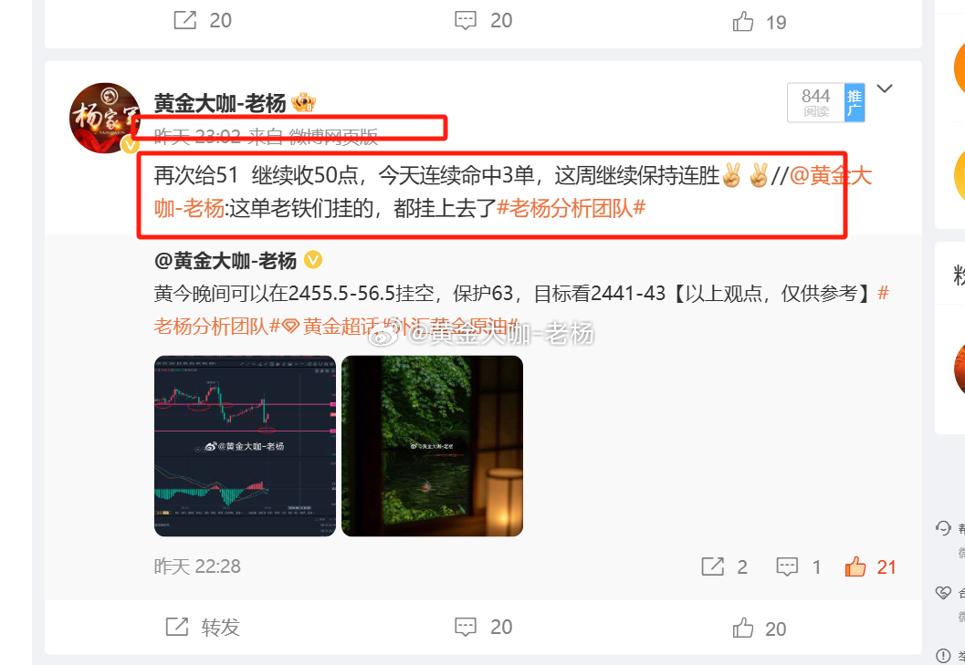 揭秘一肖一码100精准,揭秘一肖一码，探寻精准的预测之道（1451字文章）