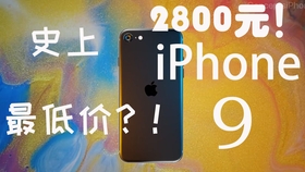 2O24新奥正版资料免费提供,探索未来之门，2O24新奥正版资料的免费共享时代