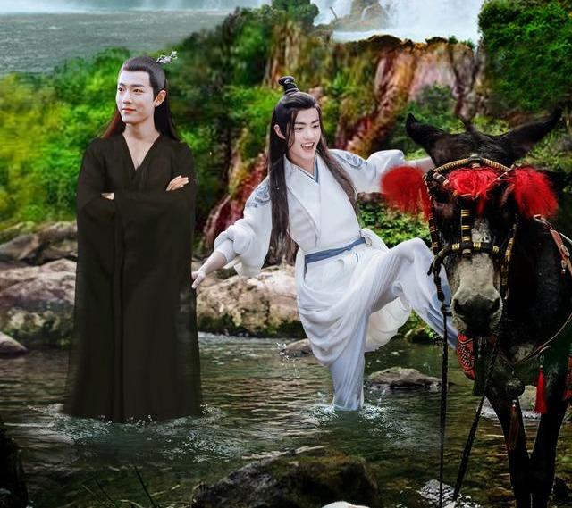 白小姐精准免费四肖,白小姐精准免费四肖，揭秘背后的秘密与真相