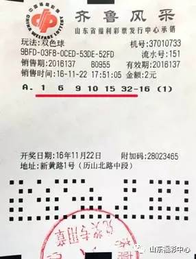 2025澳门特马今晚开奖06期,澳门特马今晚开奖06期，探索彩票背后的故事与未来展望
