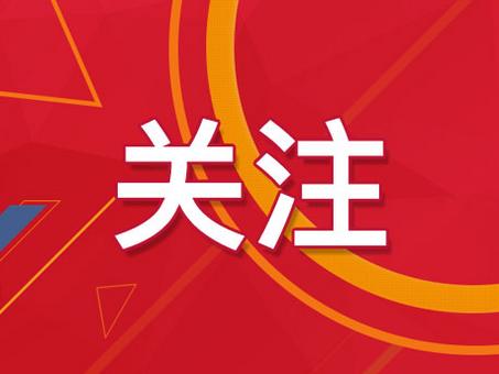 新澳门精准四肖期期准,数据资料,新澳门精准四肖期期准数据资料深度解析