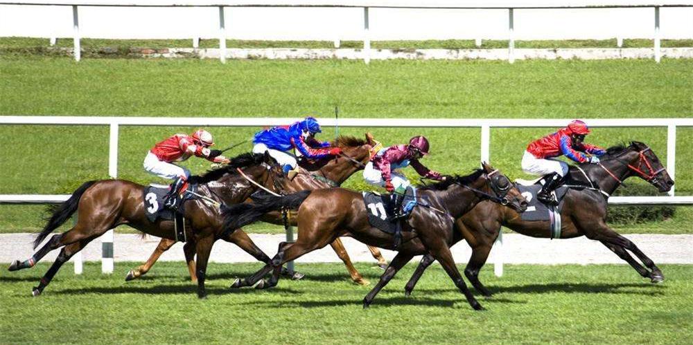 香港今晚开什么特马,香港今晚的马票结果预测与赛马文化深度解析