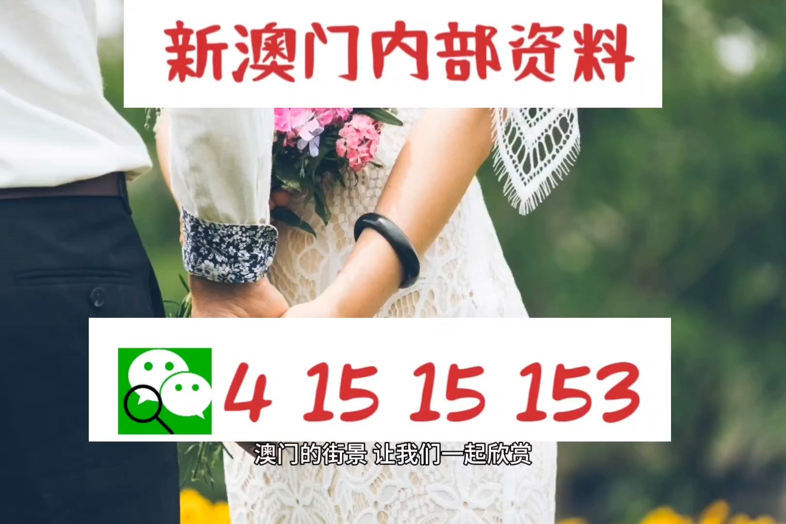 新澳精准资料免费提供,新澳精准资料免费提供的深度解析与实际应用