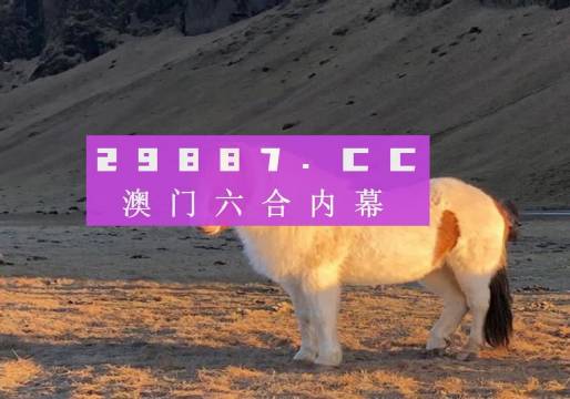 新澳门六开彩免费网站,新澳门六开彩免费网站，探索与体验